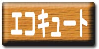 �G�R�L���[�g